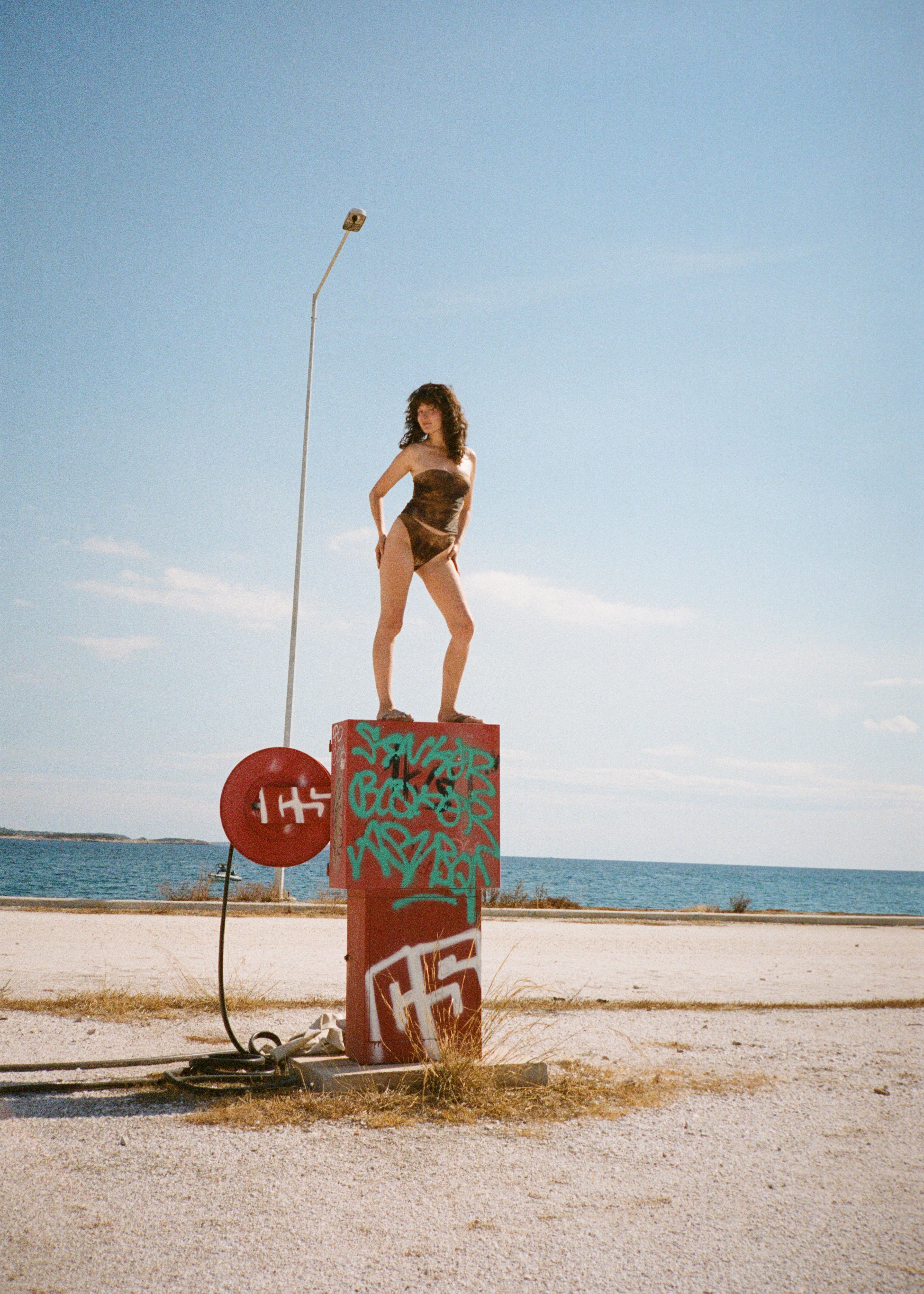 Vintage Two-Piece Bikini - Python